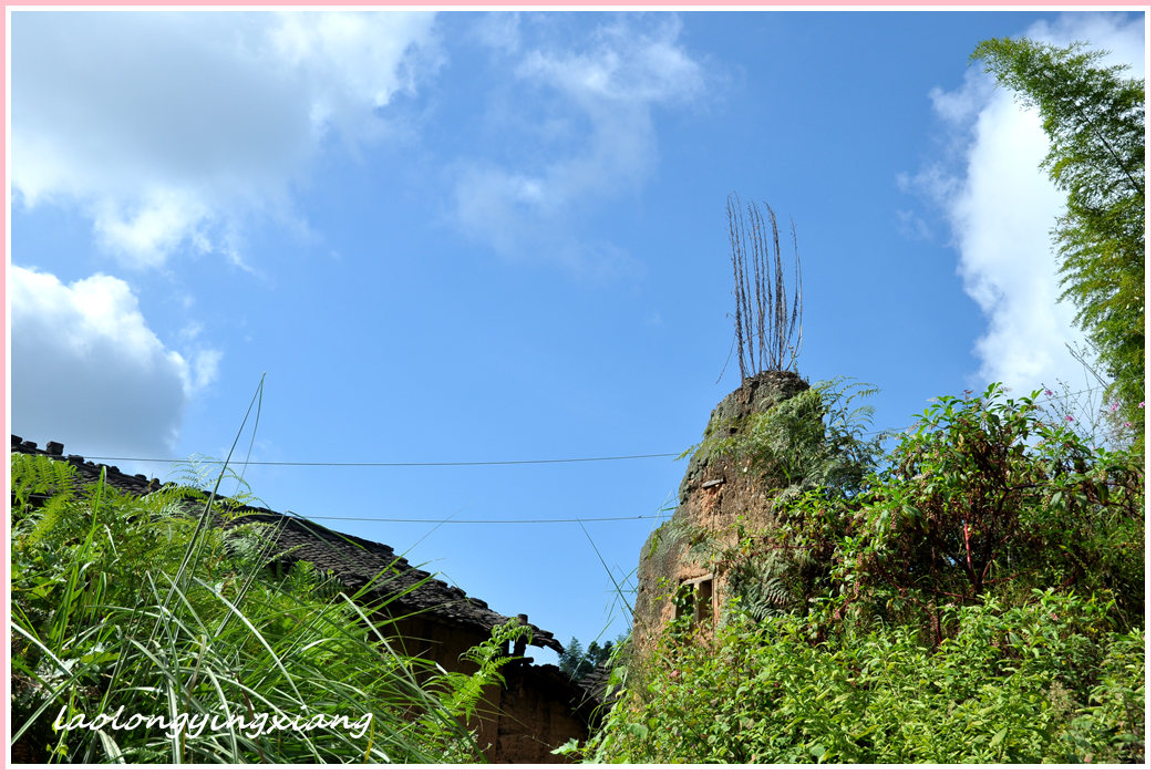 DSC_5530_副本.jpg