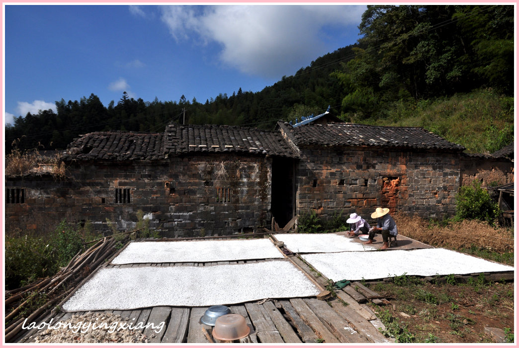 DSC_5525_副本.jpg
