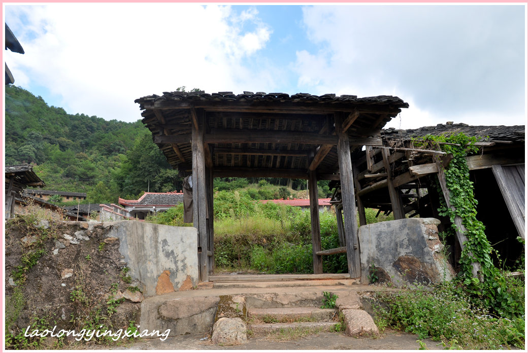 DSC_5561_副本.jpg