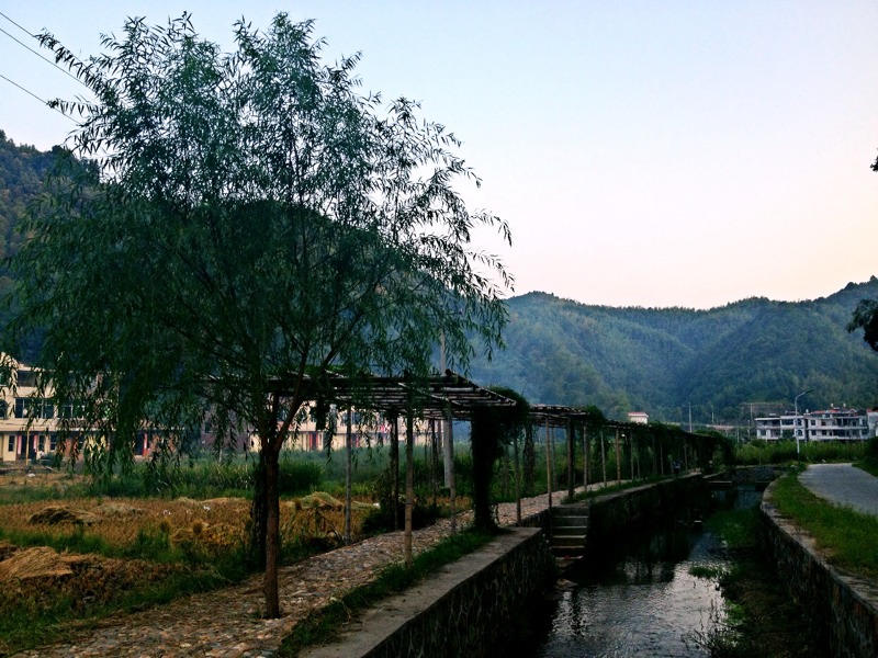 20140908004601_32167_85521.jpg