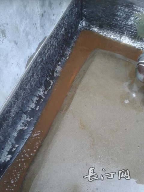 19_110691_20141026051348_89541.jpg