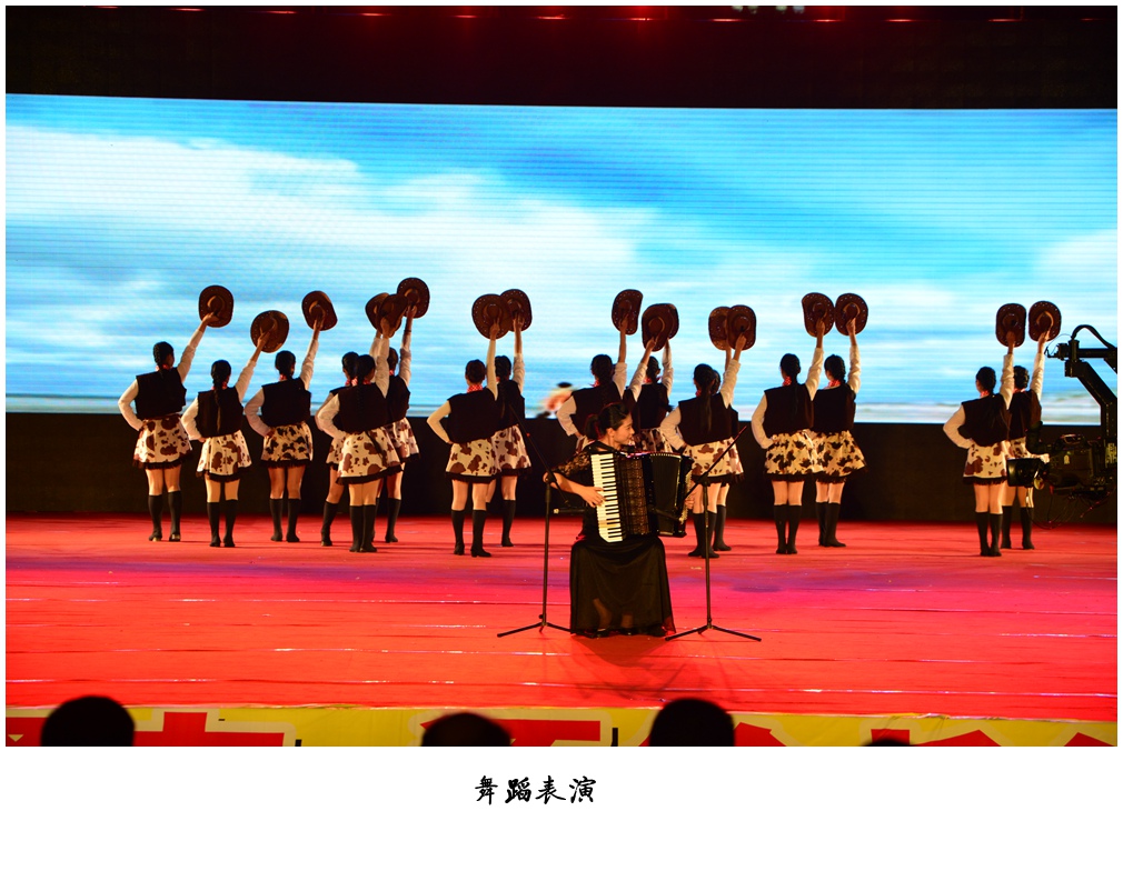 晚会 (34).jpg