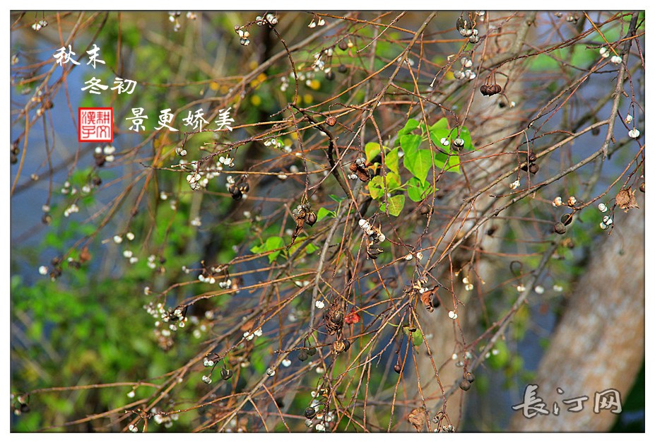 IMG_9190_副本.jpg