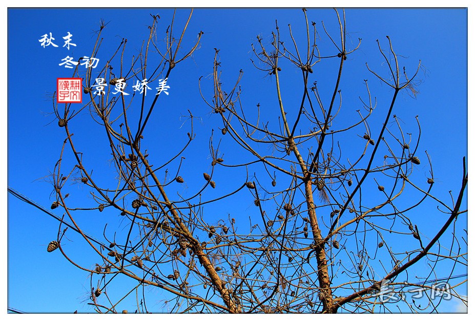 IMG_9203_副本.jpg