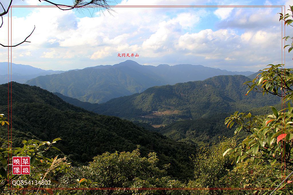 复件 IMG_6058.JPG