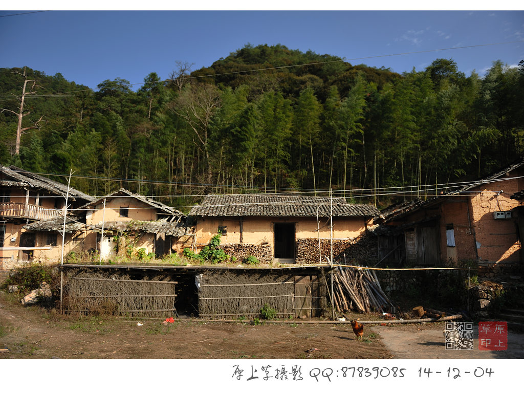 DSC_9763p_副本.jpg