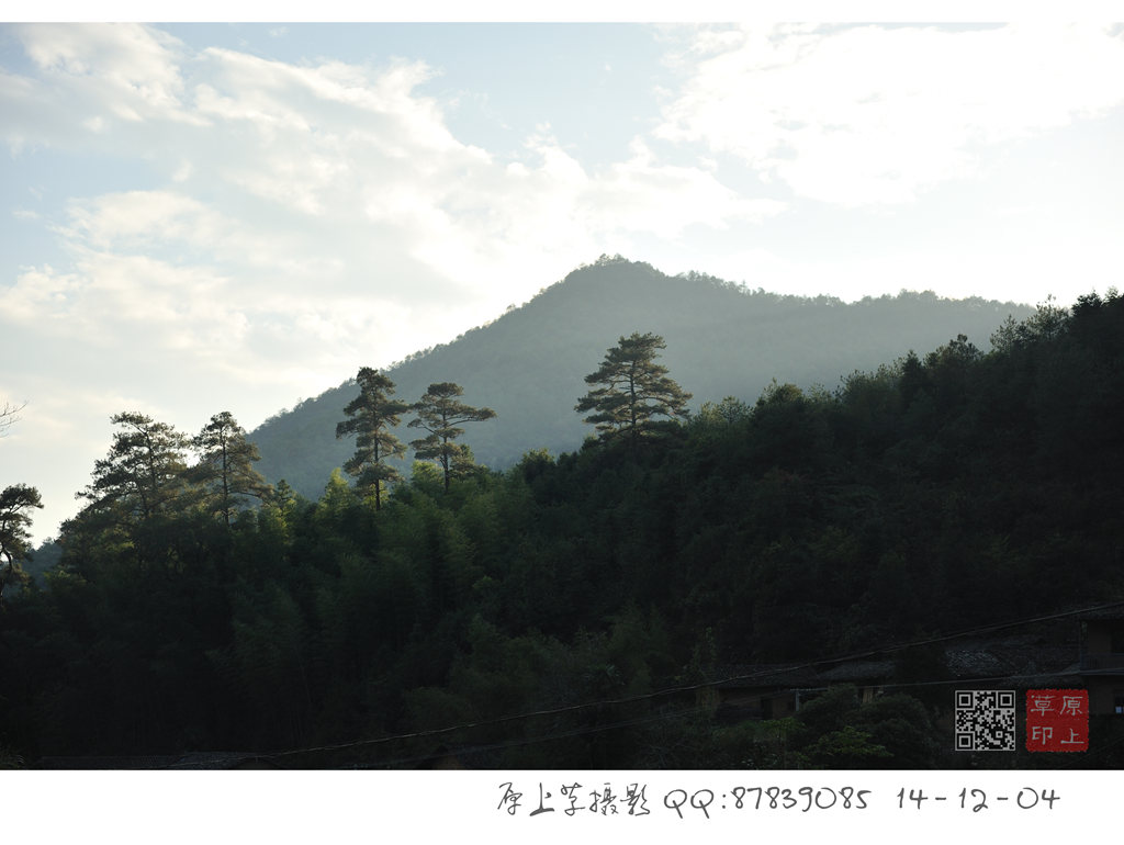 DSC_9849_副本.jpg