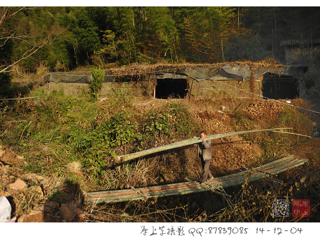 DSC_9812_副本.jpg