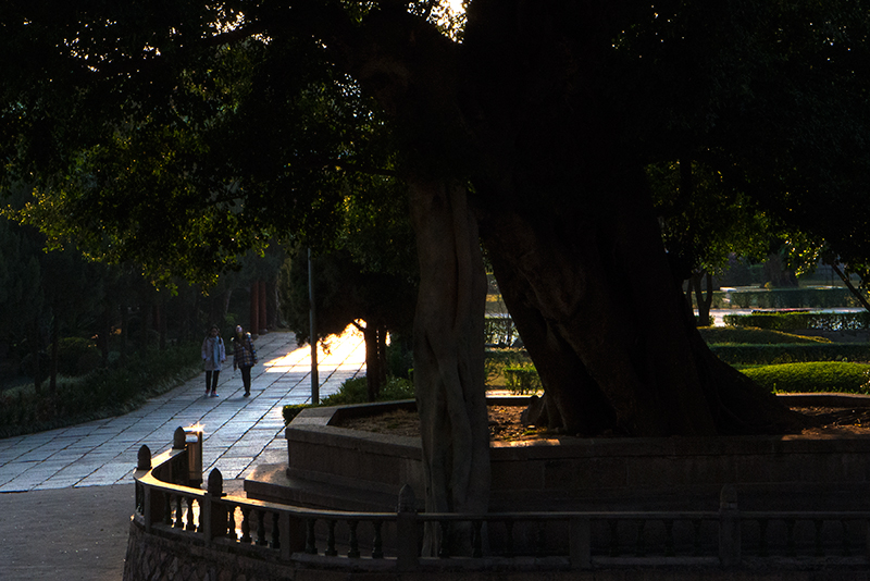 P1110323.jpg