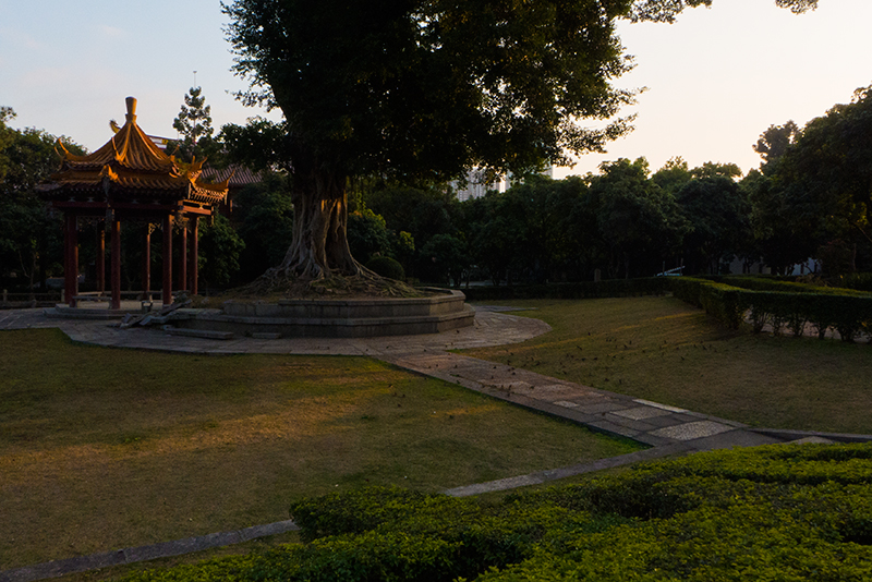 P1110336.jpg