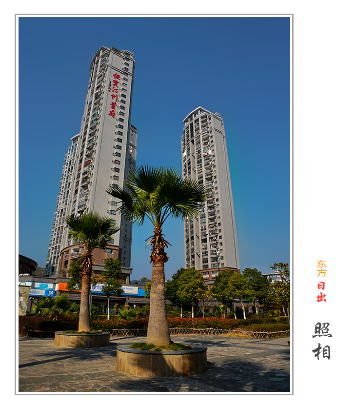 550X760相框03.jpg