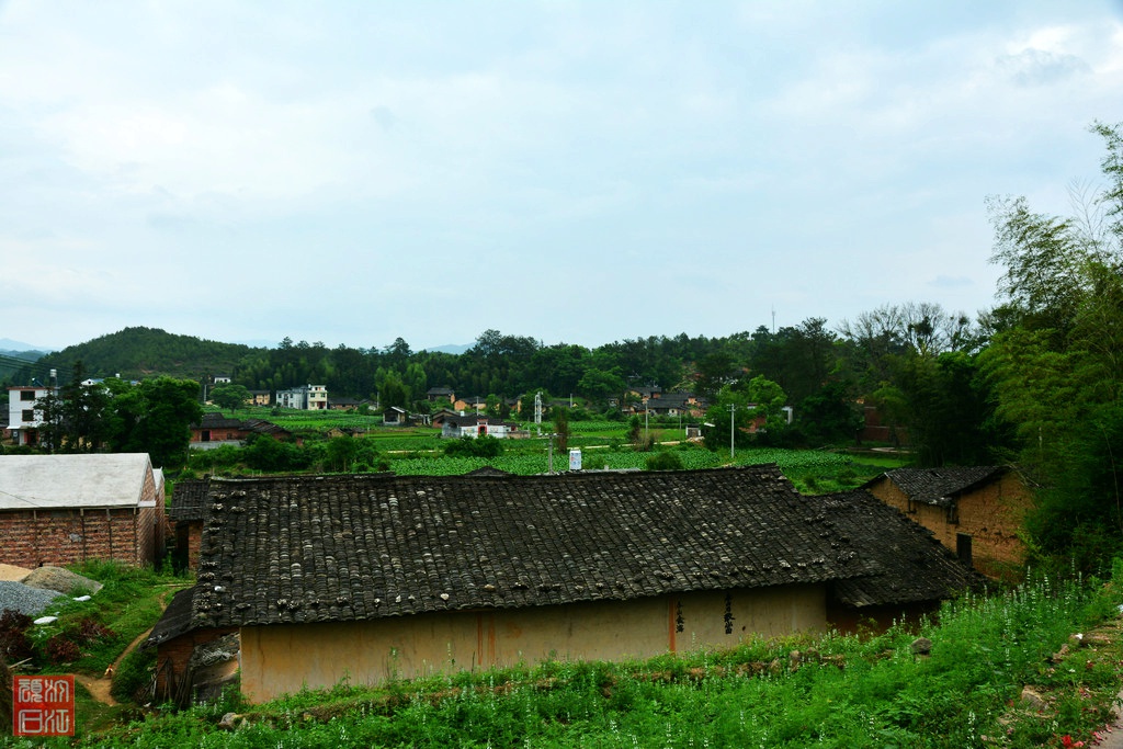 游坊10-1.jpg