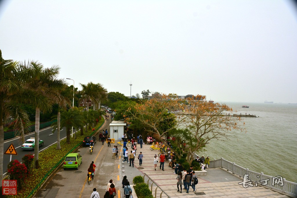 随走随拍3029.jpg