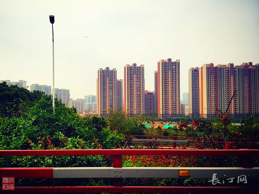 随走随拍3030.jpg