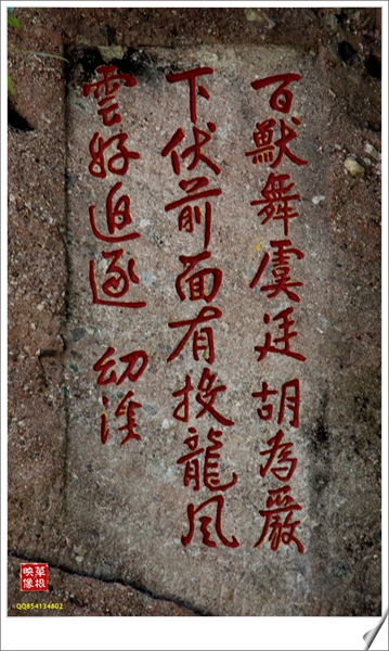 复件 IMG_9237.JPG