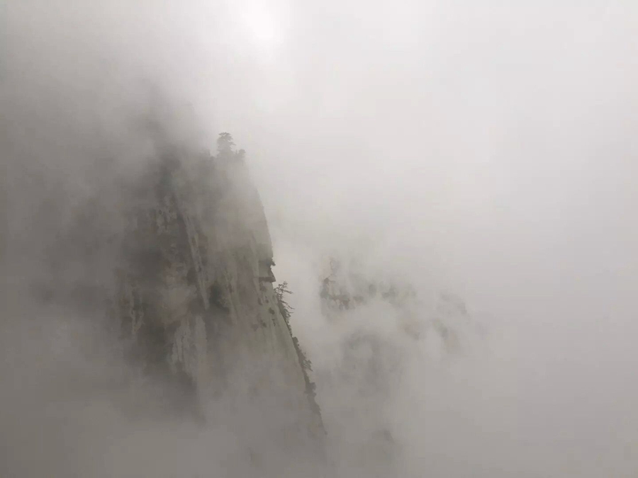 QQ图片20150821084454.jpg