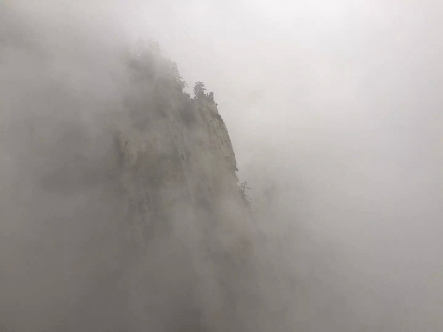 QQ图片20150821084505.jpg