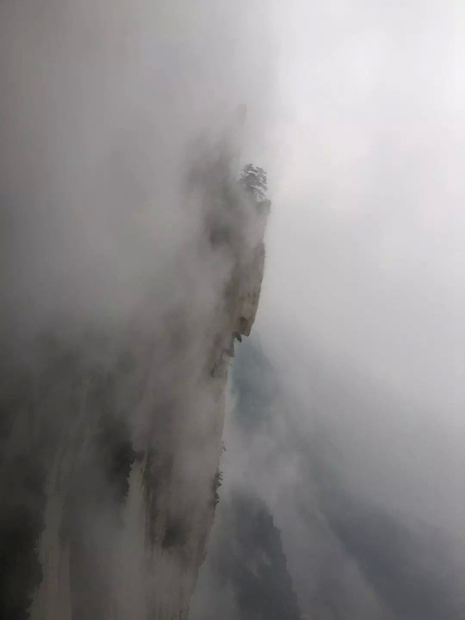 QQ图片20150821090458.jpg