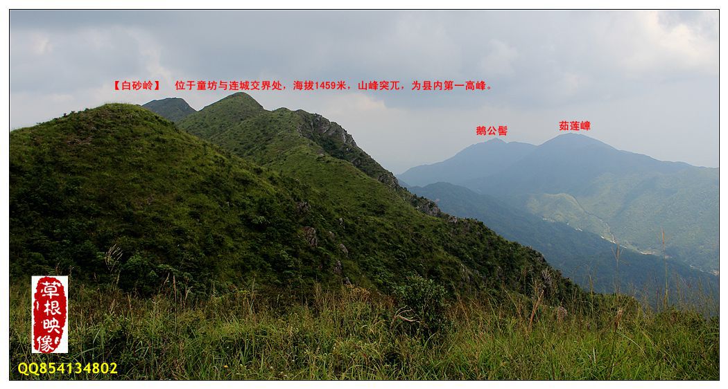 复件 IMG_3875.JPG