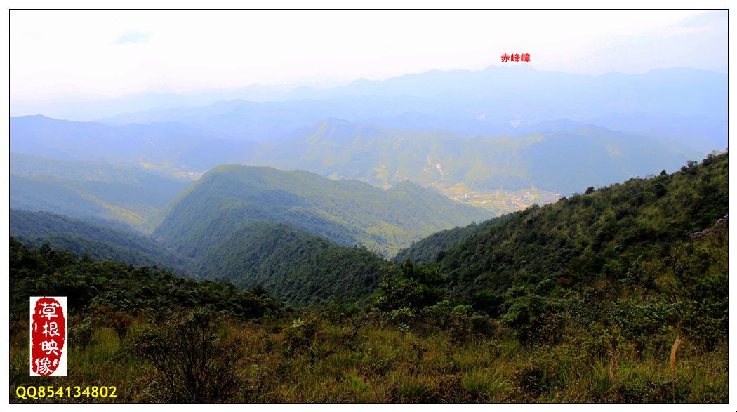 复件 IMG_3845.JPG