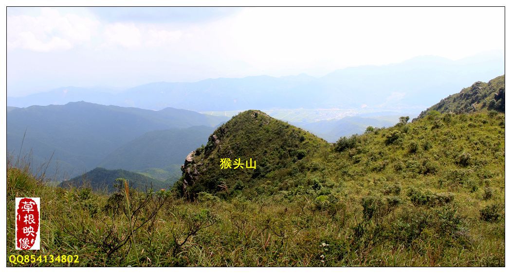 复件 IMG_3847.JPG