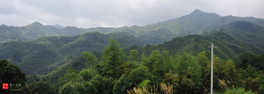 DSC_8483_副本.jpg
