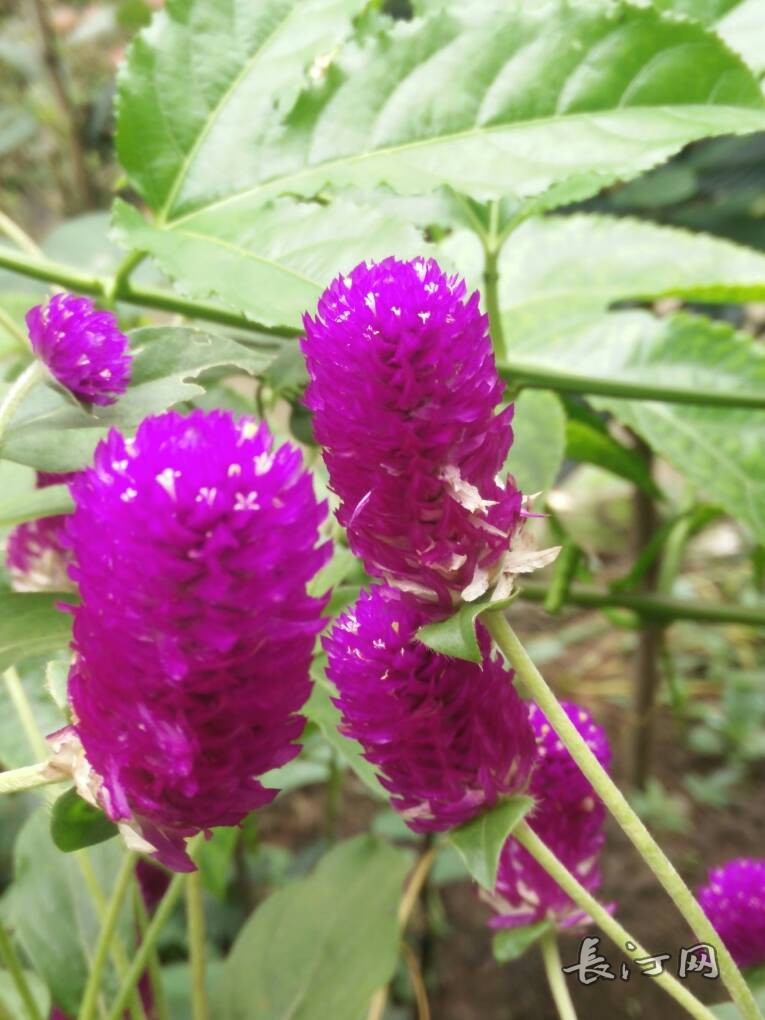 IMG20150926111405.jpg