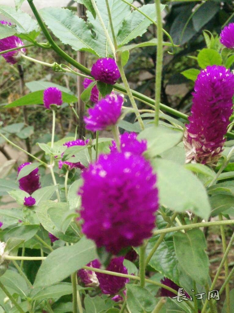 IMG20150926111348.jpg