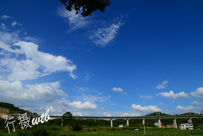 DSC_1238改.JPG
