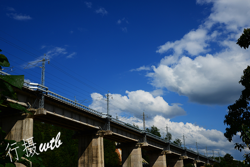 DSC_1247改.JPG