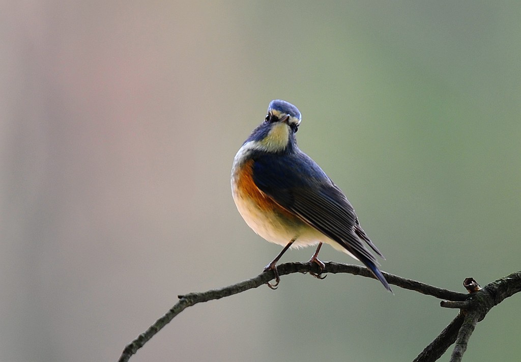 DSC_6281.JPG