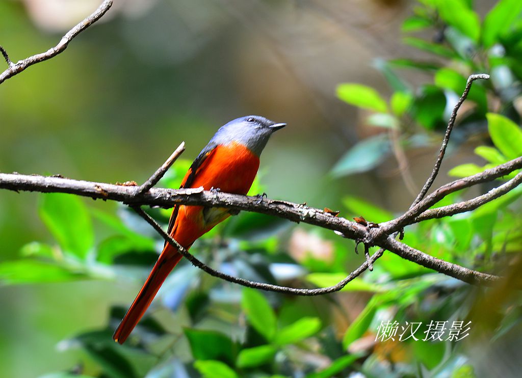DSC_7277.JPG