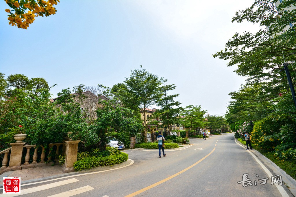 海峡国际湾区——九曲花街11.jpg