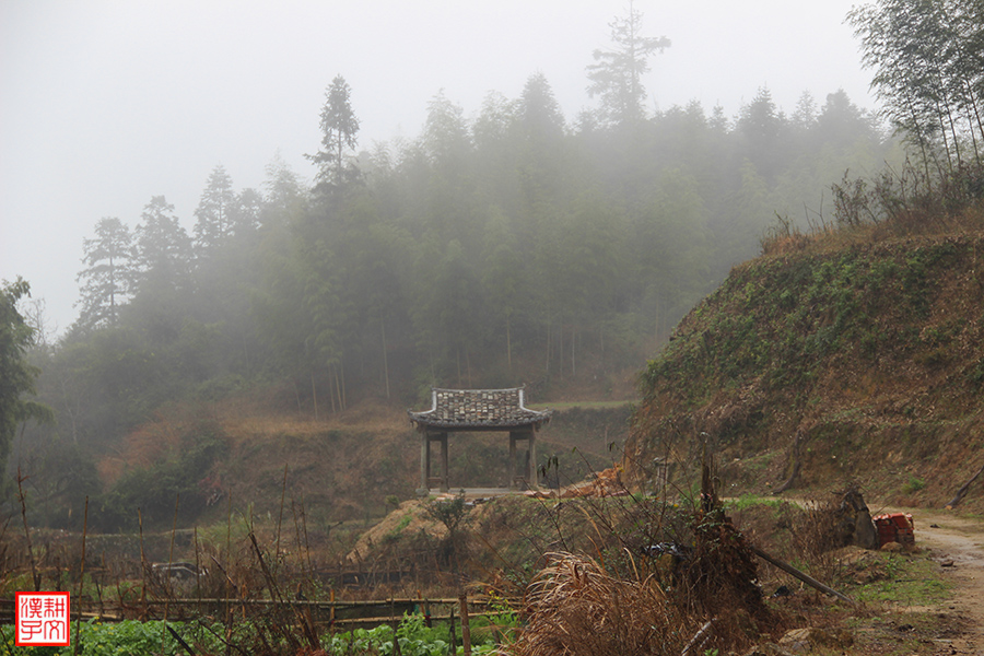 苏竹村20.jpg