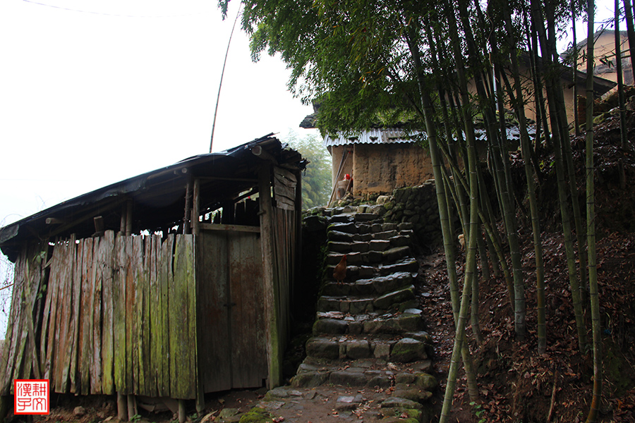 苏竹村15.jpg
