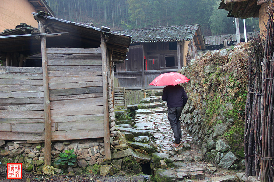 苏竹村19.jpg