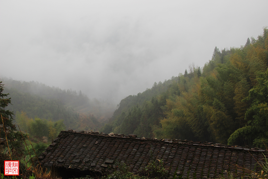 苏竹村16.jpg