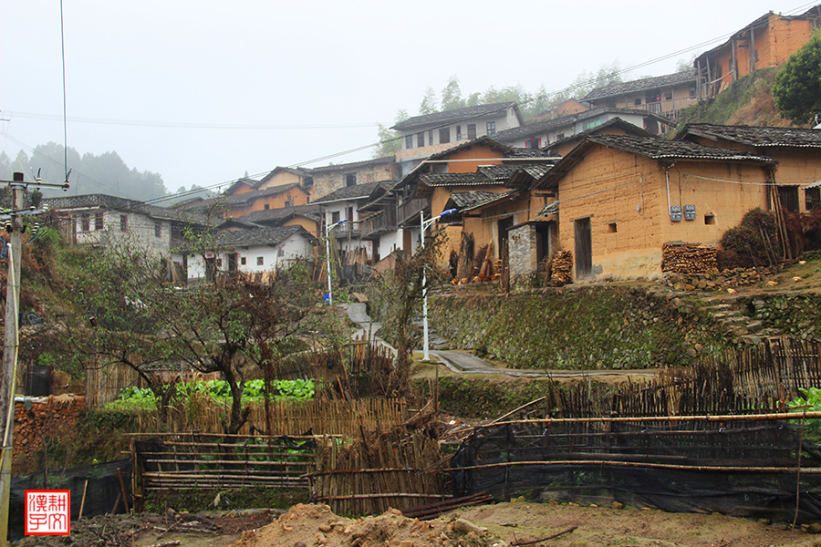 苏竹村12.jpg