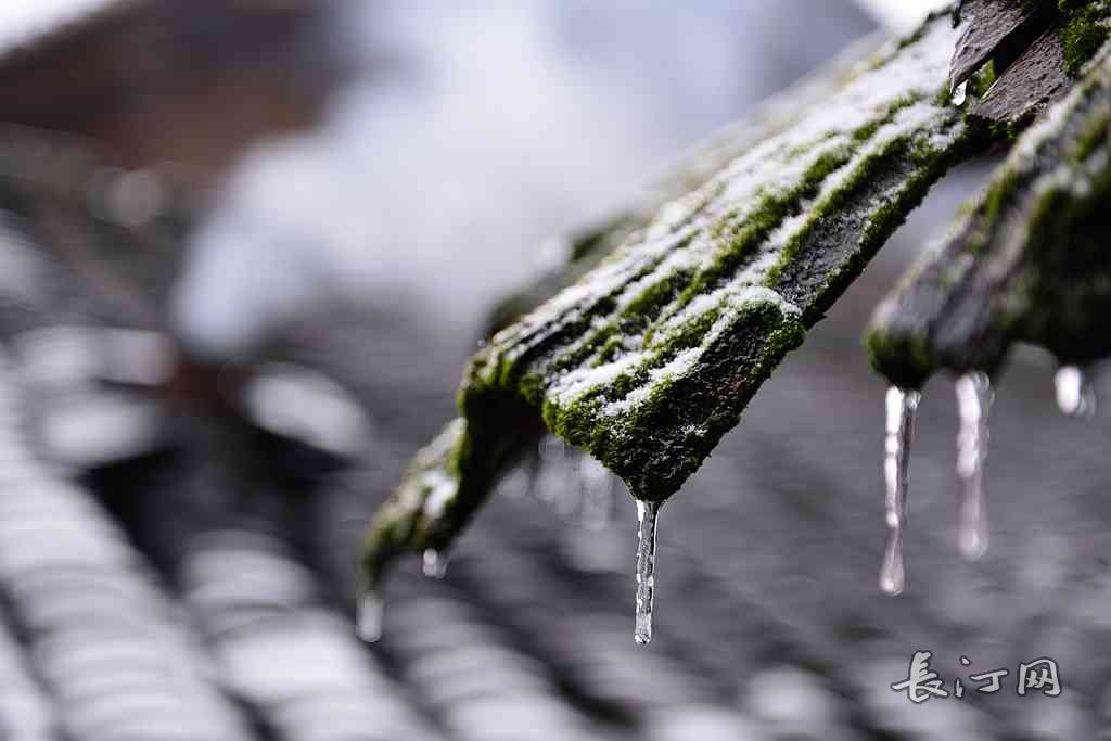 DSC_8478.JPG