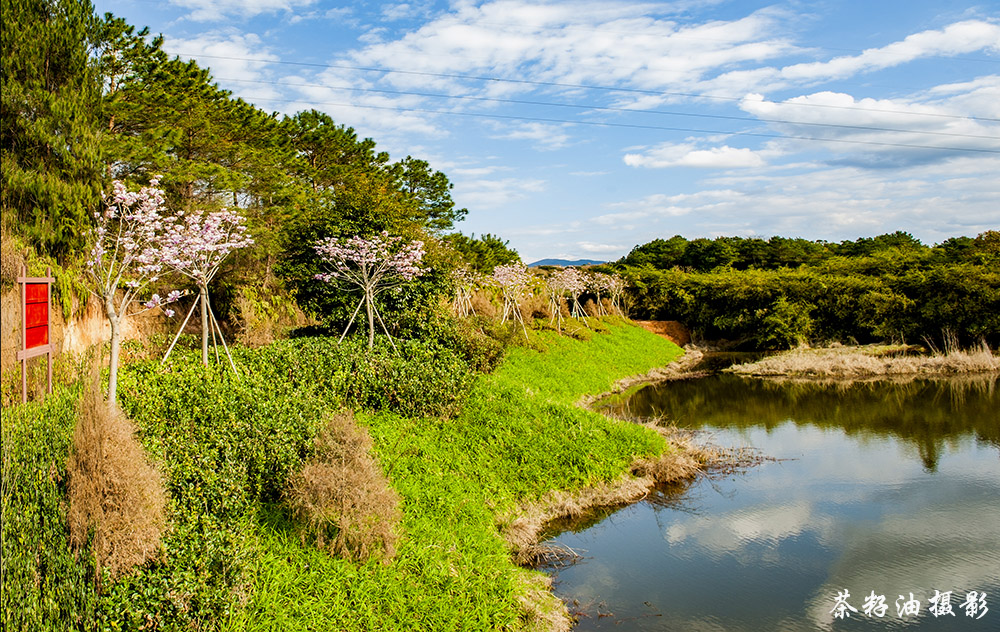 DSC_7678副本.jpg