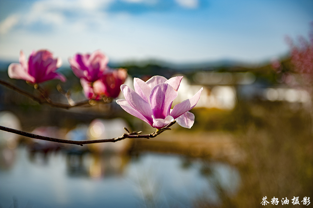 DSC_7754副本.jpg