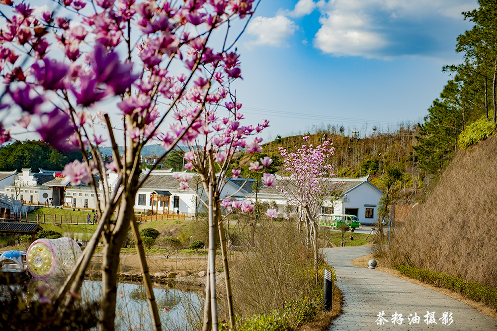 DSC_7746副本.jpg