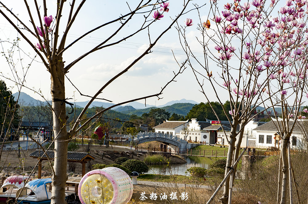 DSC_7768副本.jpg