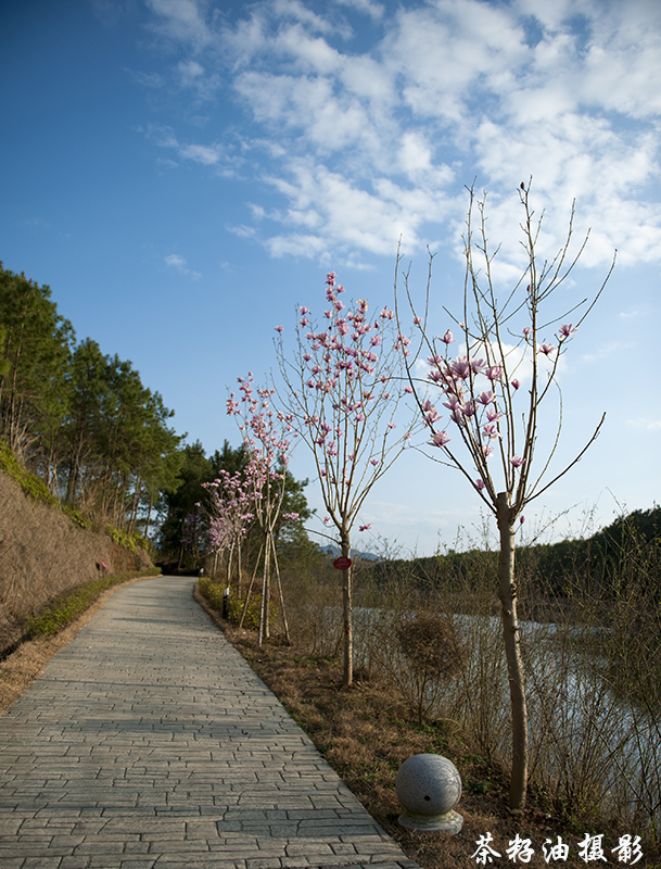 DSC_7782副本.jpg