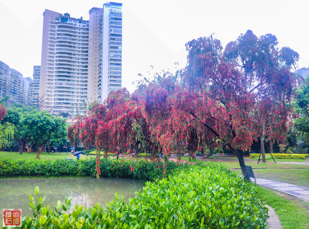 南湖公园02-16.jpg
