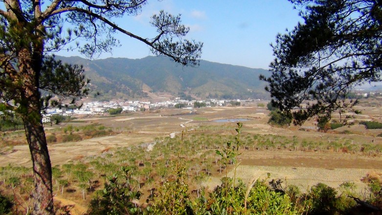 远眺塘背