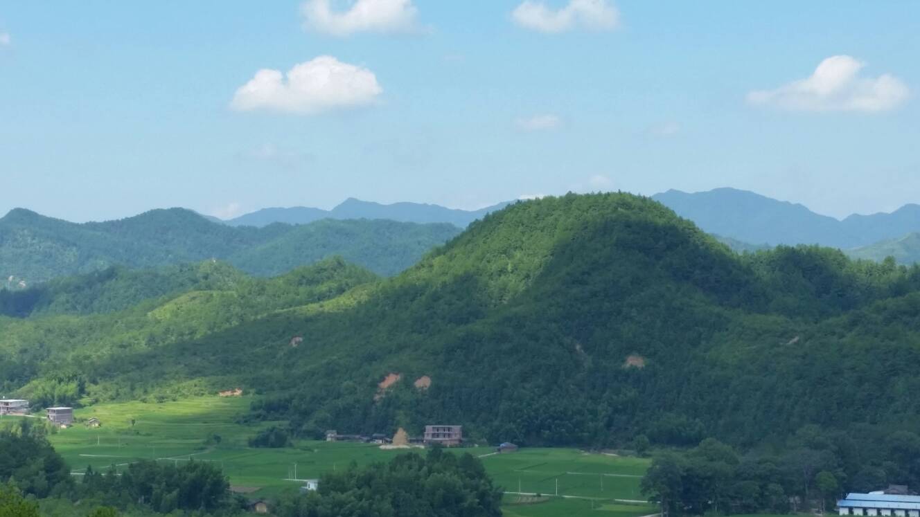 20160723_102151.jpg