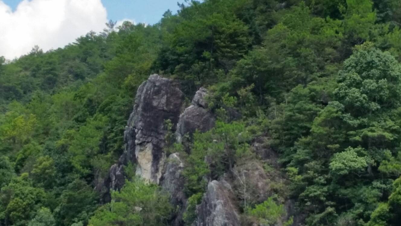 20160723_111209.jpg