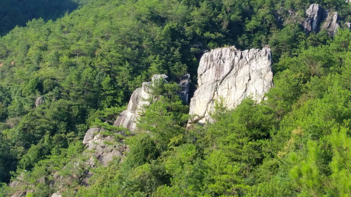 20160723_173722.jpg