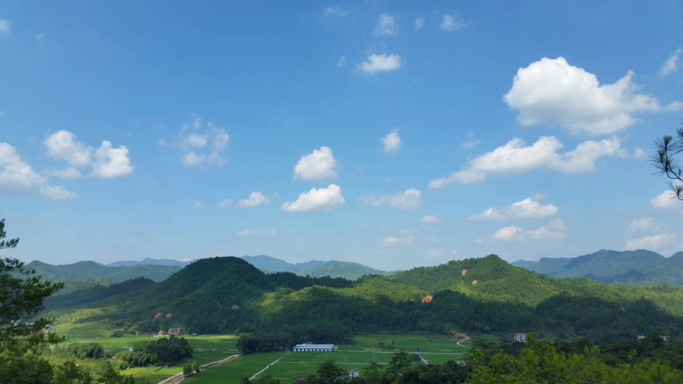20160723_101656.jpg